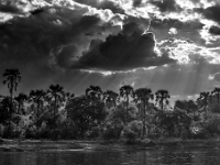 Rzeka Zambezi